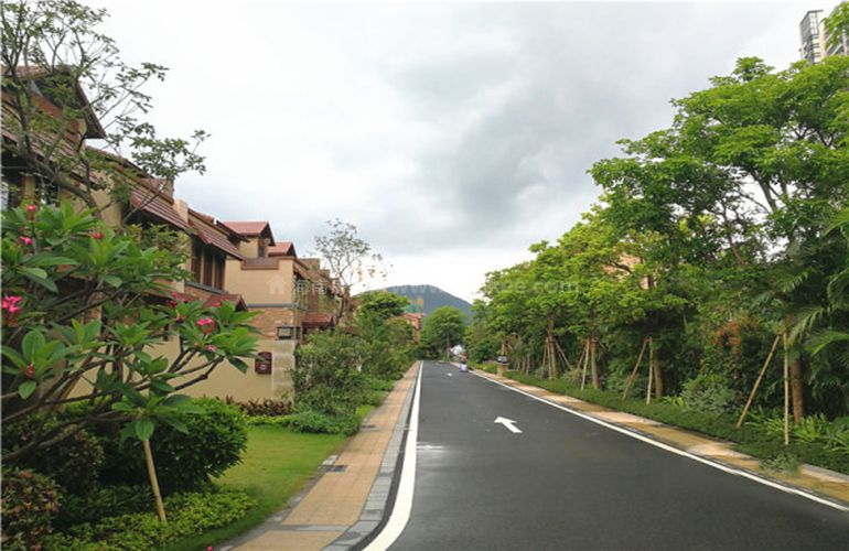 惠州 实地常春藤畅享深惠双城便捷生活,毛坯价格约8800元㎡